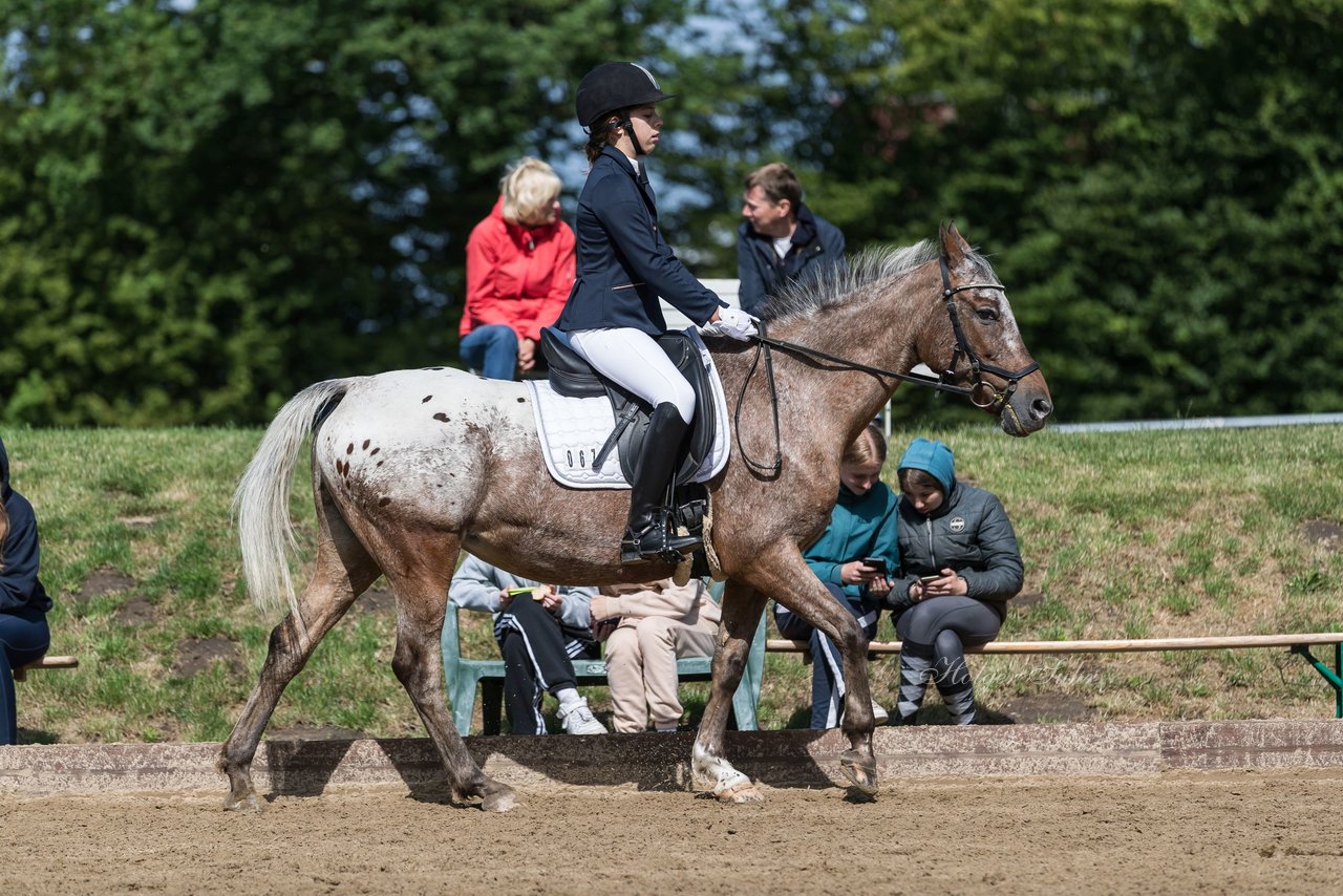 Bild 661 - Pony Akademie Turnier